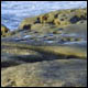 �� ���� (La Jolla)