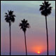�� ���� (La Jolla)